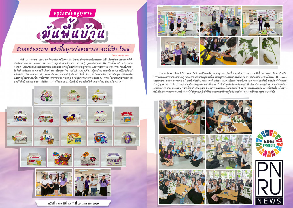 PNRU News ฉบับที่ 1318 - อนุรักษ์ก่อนสูญหาย มันพื้นบ้าน อำเภอชัยบาดาล หวังฟื้นฟูแหล่งอาหารและการใช้ประโยชน์